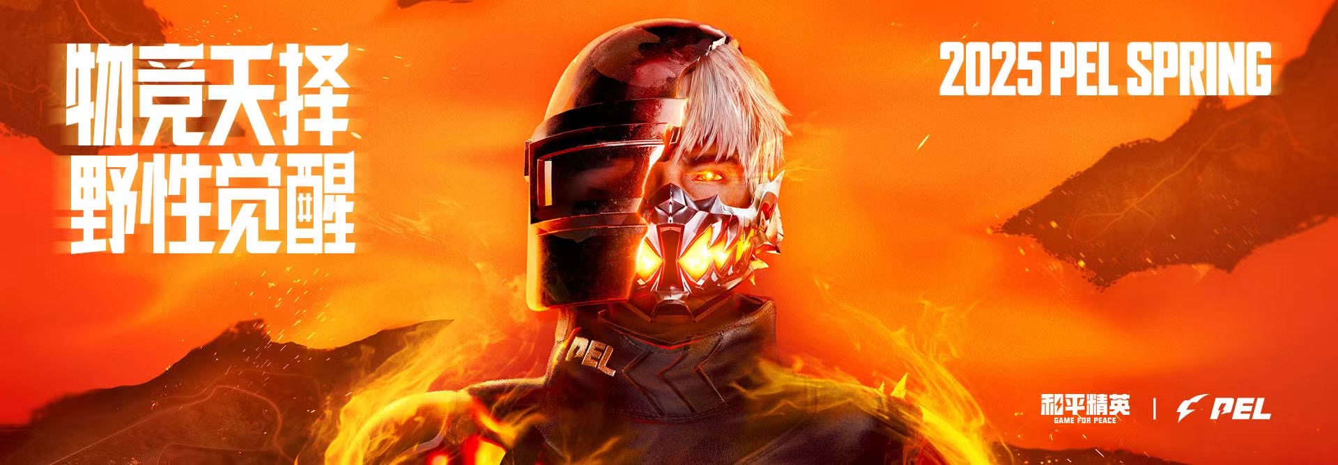 和平精英辅助【火焰鸟直装V6.0终极修复版】射线透视 准星聚点 空投透视 人物变大 显示手持 透视雷达